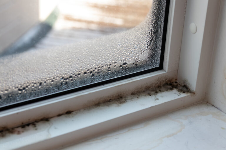 4 Signs that there could be mold in your home