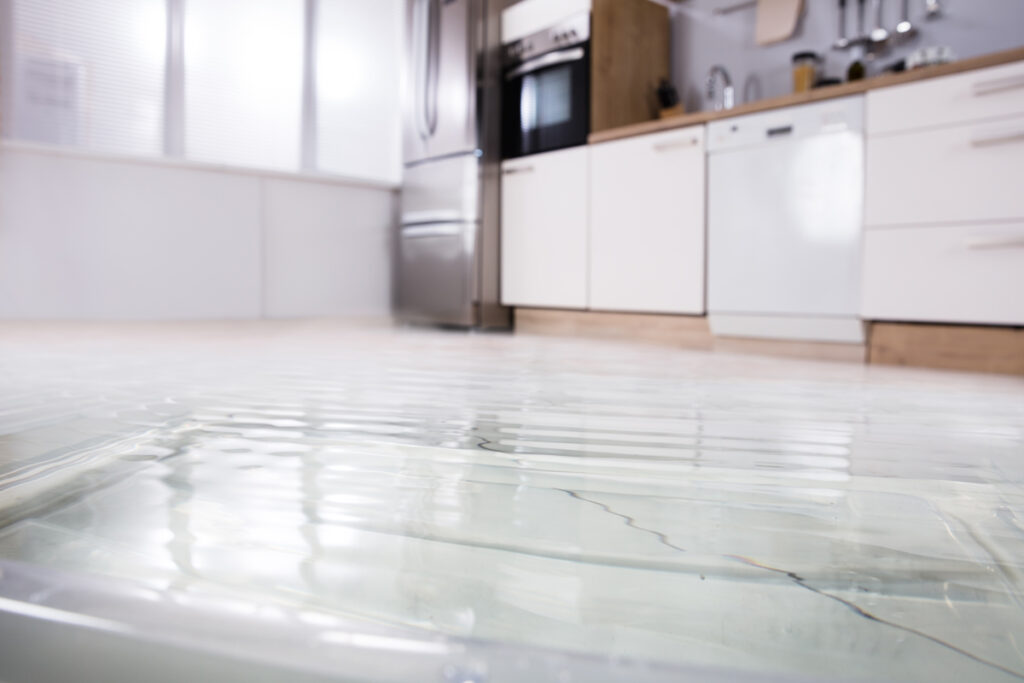 Water Damage Restoration – The Water Damage Experts