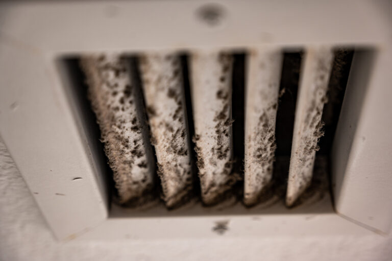 Can HVAC Maintenance Prevent Mold Growth?