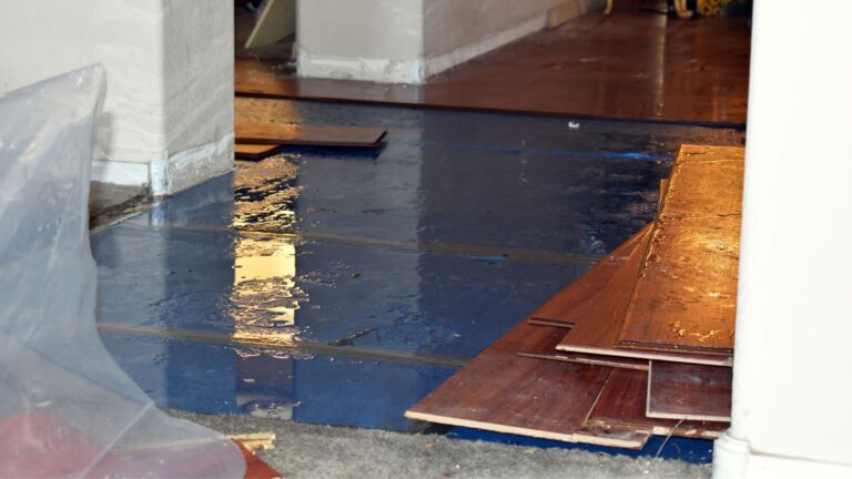 10 Water Remediation Tips that Can Protect You and Your Home