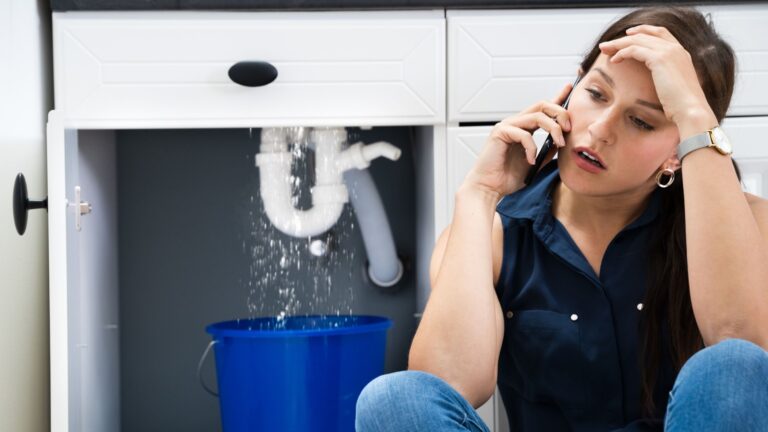 How A Water Remediation Company Can Help You Save Money on Plumbing Leaks