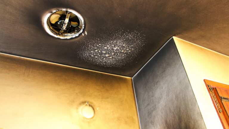 How to Prepare for the Fire Damage Removal Process