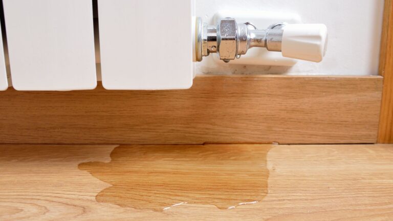 7 Steps to Take After Finding Water Damage in Your Home