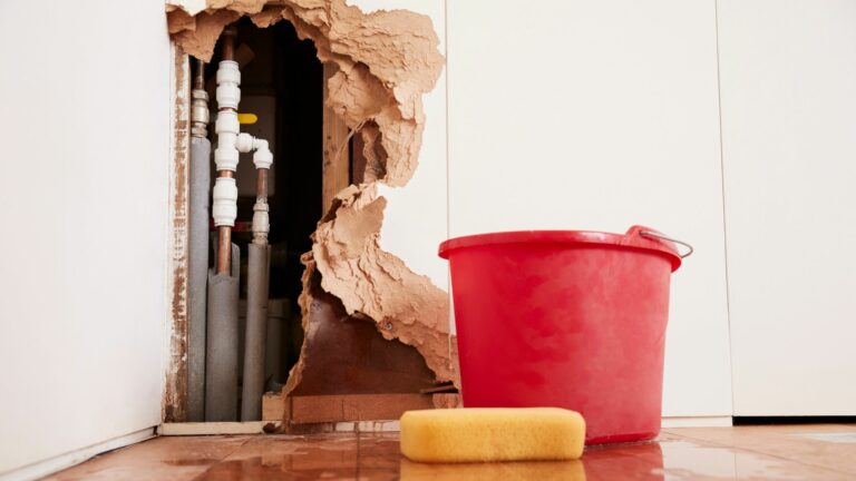 Deltona Homeowners: What Can Be Remediated After Water Damage