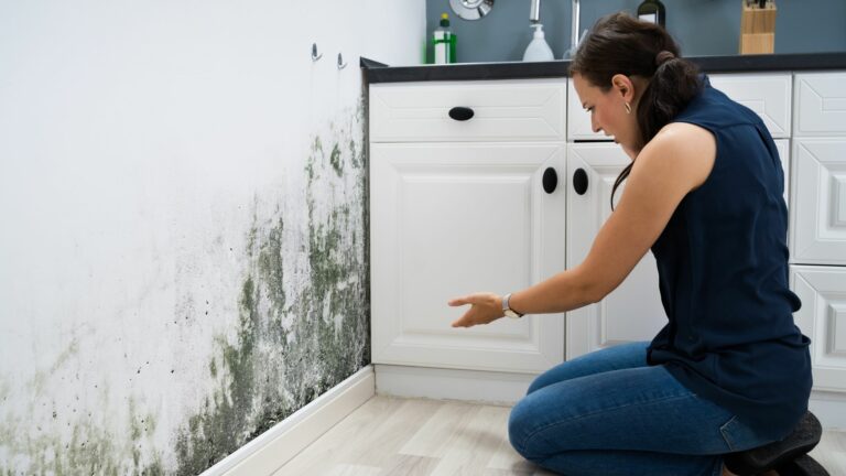 3 Places Mold Damage Strikes Most Often and How to Remove It Safely