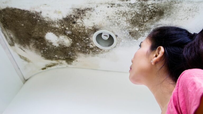 I Fixed My Roof Leak, Now What? How Water Remediation Can Prevent Mold Damage