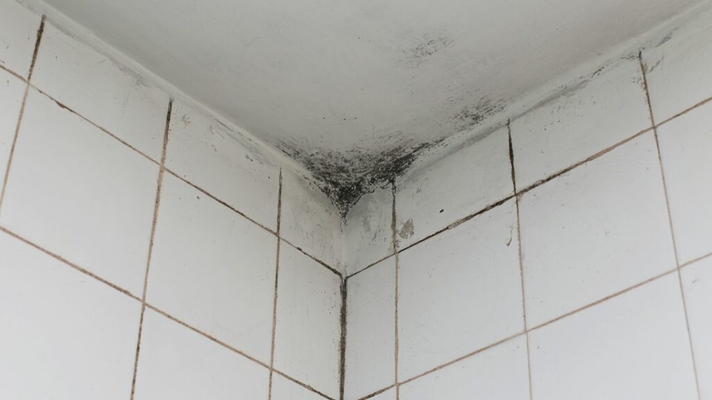 What Moisture Related Issues Can Lead To Mold In My Central Florida Home?