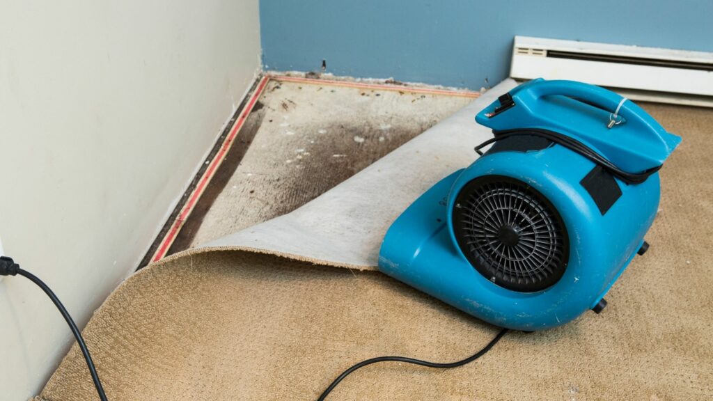 Prevent Water Damage With 24/7 Emergency Restoration Service in Central Florida