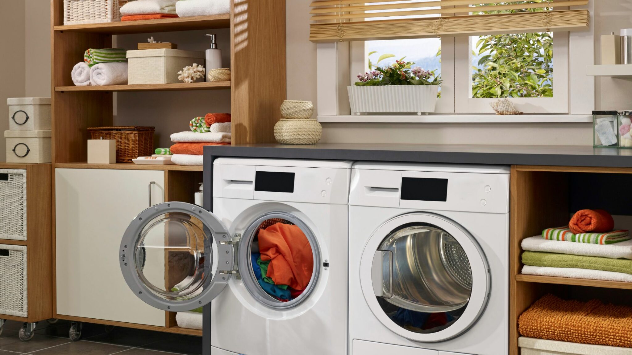 Laundry Mold How to Identify the Problem and Fix It Quickly